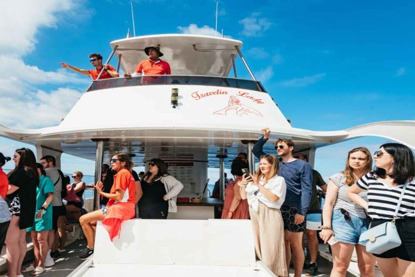 Los Cristianos: Eco Yacht Whale Watching Tour at Sunset