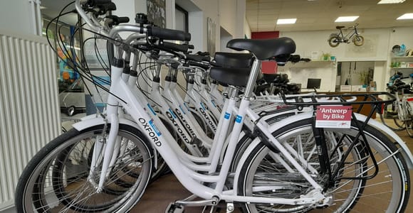 Antwerpen: Ganztägige Fahrradvermietung