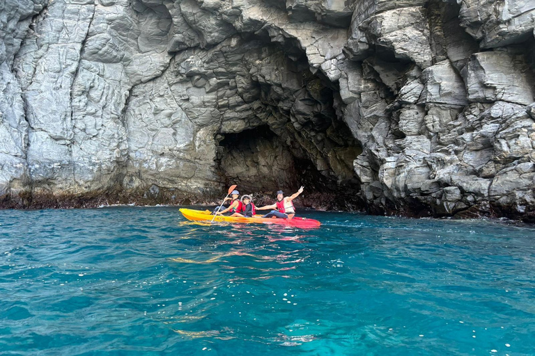 Tenerife: Tour guiado en Kayak