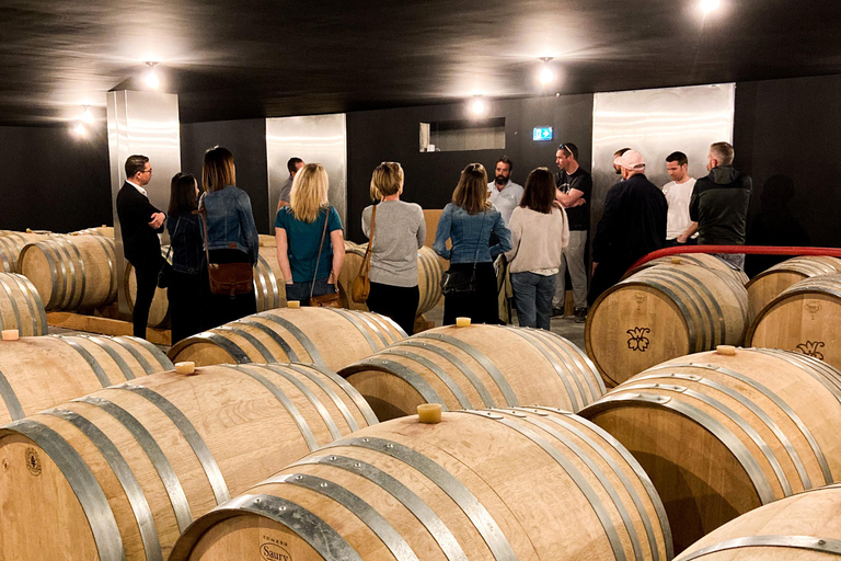 Tain l&#039;Hermitage: bezoek twee wijnhuizen en een wijn- en spijsworkshopTain l&#039;Hermitage: Bezoek twee wijnhuizen en Atelier Vins &amp; Mets