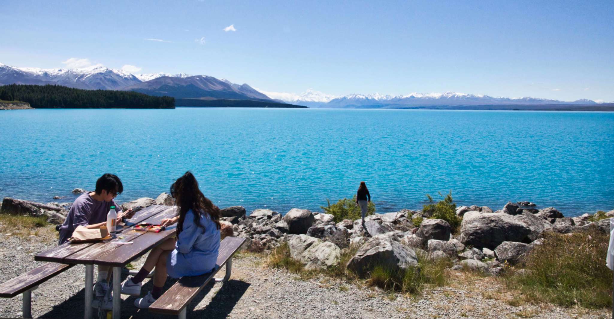 From Tekapo, Mt Cook day tour via Pukaki, Tasman Glacier - Housity