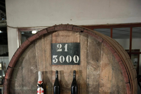 Montevideo: Century-Old Urban Winery Tour & 6-Wine Tasting