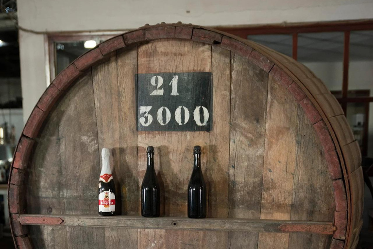 Montevideo: Century-Old Urban Winery Tour & 6-Wine Tasting