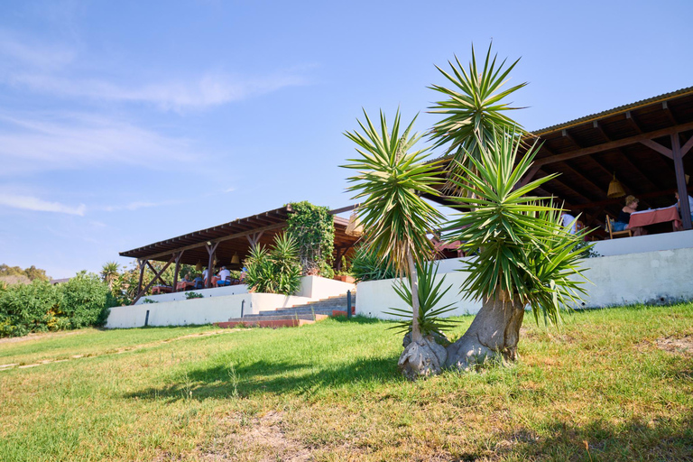 Private 4-5-Hour Tour and explore the hidden Gems of Rhodes Private 4-Hour Tour and explore the hidden Gems of Rhodes