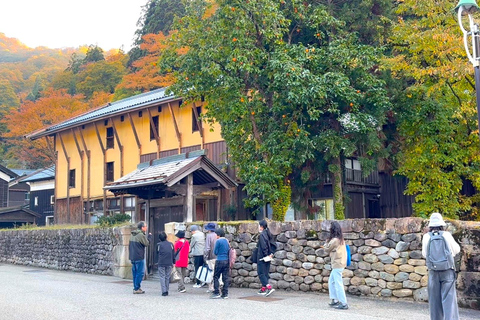 Kanazawa: Day Trip to Traditional Remote Mountain Village