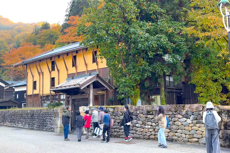 Kanazawa: Day Trip to Traditional Remote Mountain Village