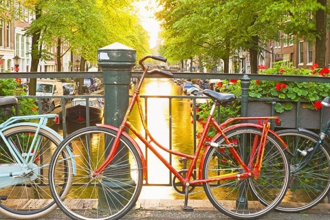 Amsterdam City Orientación privado recorrido a pieCity Tour privado a pie en francés