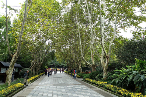 Chengdu: Tai Chi & Kung Fu Class with a Master
