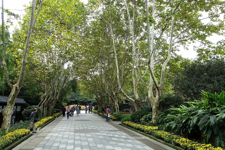 Chengdu: Tai Chi & Kung Fu Class with a Master