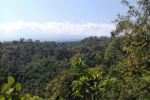Moshi: Guided Waterfall Hike with Local Stories