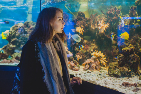 Dusseldorf Family Friendly Highlights & Aquazoo Walking Tour 2-hour: Old Town Highlights Tour