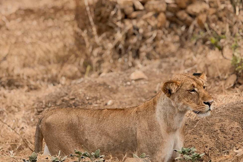 From Zanzibar: 3-Day Mikumi Wildlife Safari, 2 Nights