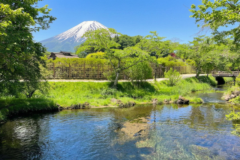 Tokyo: Mt Fuji & Oishi Park, Oshino Hakkai, Chureito Pagoda Free Karaage Chicken Set | Tokyo Station 8:00AM