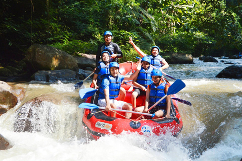 Bali Aventura de rafting en el río AyungActividad turística con punto de encuentro