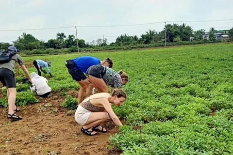 Giornata intera: treno di bambù originale, Wat Banan, Phnom Sampov