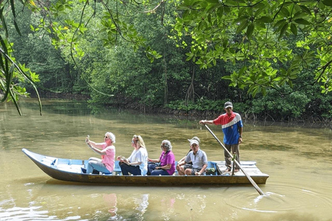 From Ho Chi Minh: Can Gio Mangrove Forest & Monkey Island