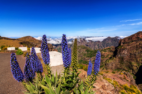 Madeira: Pico Arieiro to Pico Ruivo Guided Hiking Tour Pickup Ponta do Sol