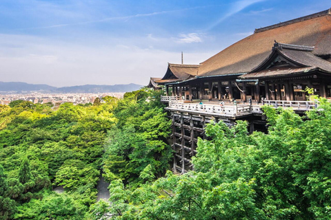 Kyoto: Private Tour with Licensed Guide & Vehicle Regular Car (Up to 2)