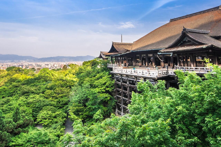 Kyoto: Private Tour with Licensed Guide & Vehicle Regular Car (Up to 2)