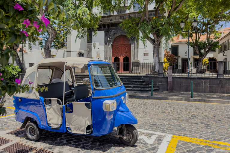 Funchal: Monte Toboggan & Old Town Private Tuk-Tuk Tour
