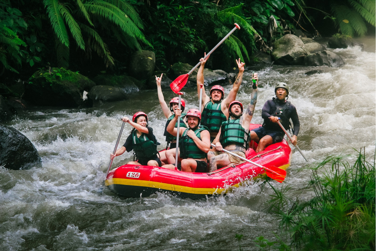Ubud: Rafting, ATV Quad Bike, or River Tubing Private Tour Quad Bike Adventure with Lunch & Luwak Coffee testing