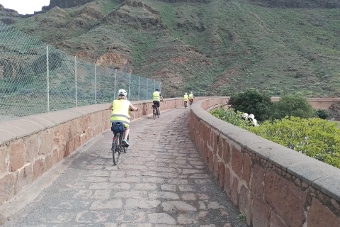 Gran Canaria: 1-7 días de alquiler de bicicletas eléctricasAlquiler de 4 días