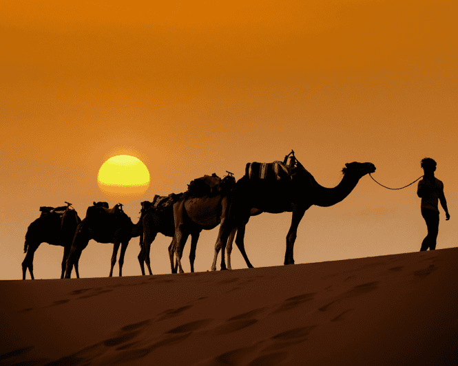 Depuis Marrakech : safari de 3 jours dans le désert à Merzouga, avec repas - dromadaire