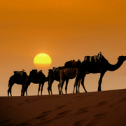 3-Day Merzouga Desert Safari from Marrakech with Food