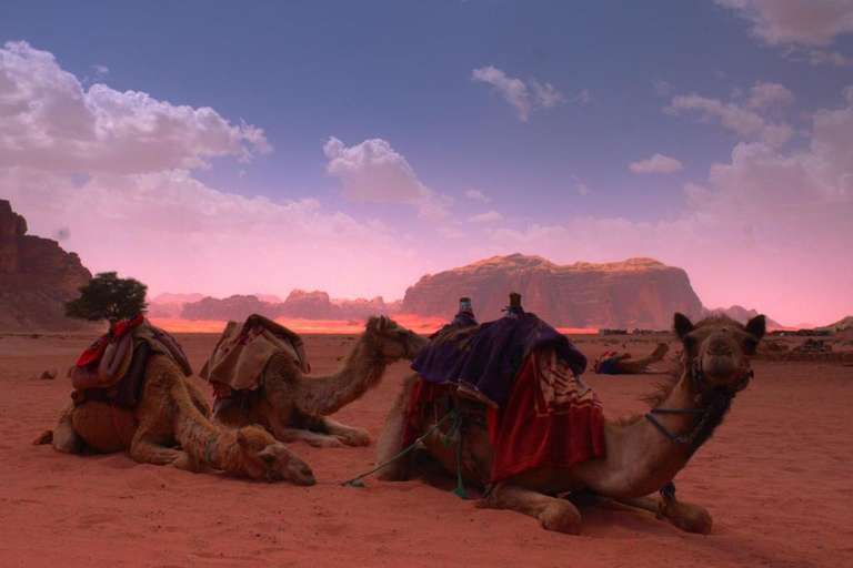 Wadi Rum All in One Day – The Ultimate Desert Discovery Wadi Rum All in One Day – The Ultimate Desert Discovery