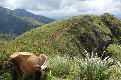 La migliore guida di viaggio dello Sri Lanka: Attrazioni principali Scoprire