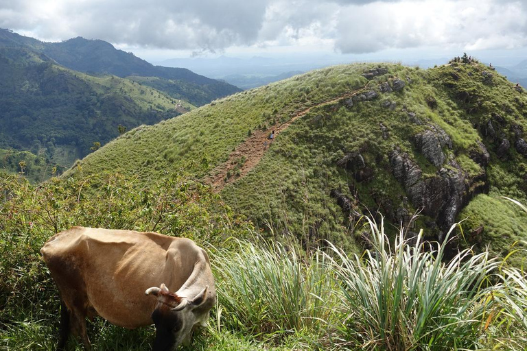 La migliore guida di viaggio dello Sri Lanka: Attrazioni principali Scoprire