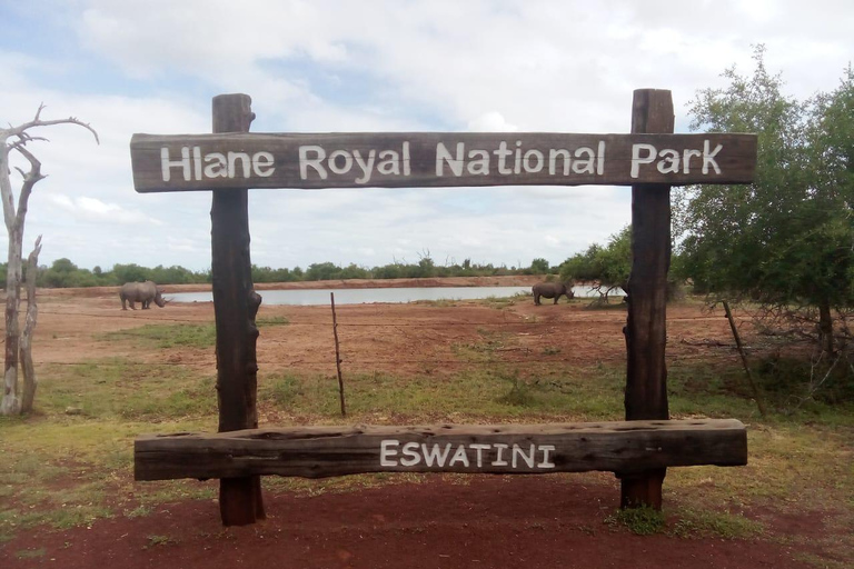 Hlane National Park, Safari TagestourTour auf Englisch oder Portugiesisch