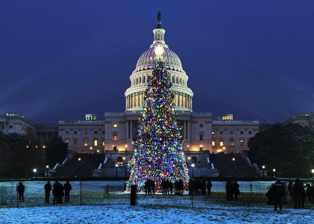 Visit Washington DC Holiday Lights Tour National Mall & Memorials in Washington D.C.