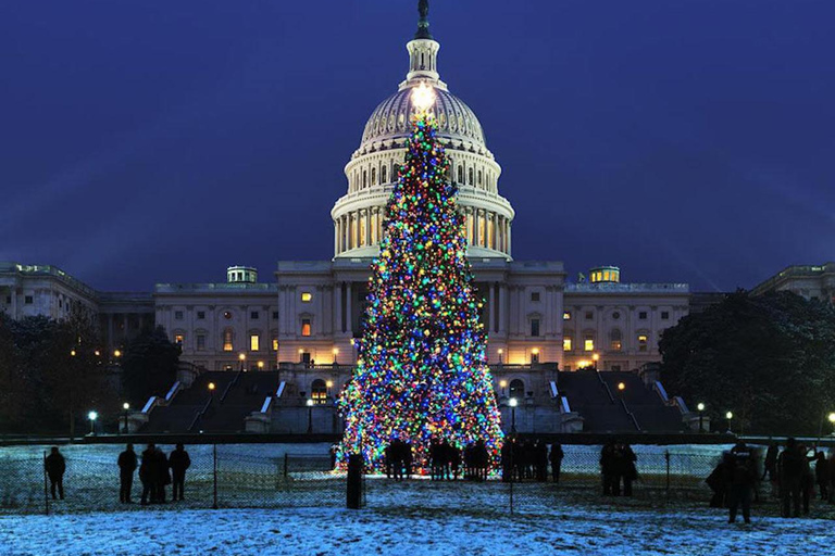 Washington DC: Tour del National Mall e dei monumenti alla luce della luna