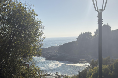From Santiago: Papudo Horseback Ride & Penguin Watching