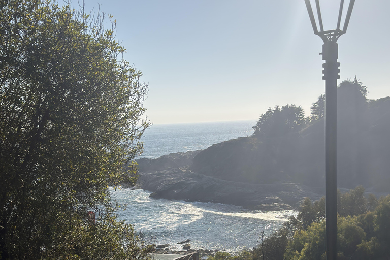 From Santiago: Papudo Horseback Ride & Penguin Watching