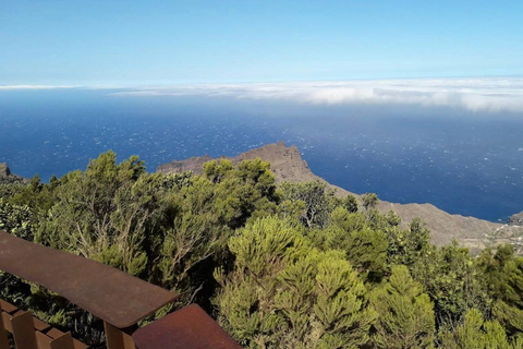 Tenerife - La Gomera: Private Expedition to the Prehistoric Forest