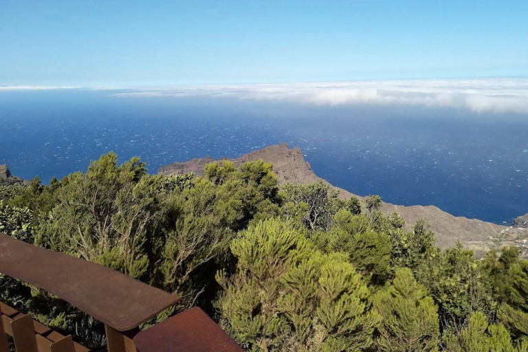 Tenerife - La Gomera: Private Expedition to the Prehistoric Forest