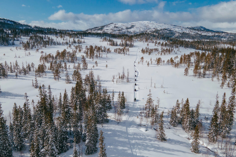 Snowmobile Safari in the mountains of Helgeland! Half-day Snowmobile Safari