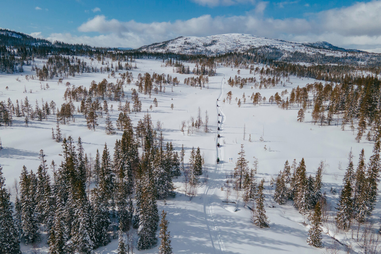 Snowmobile Safari in the mountains of Helgeland! Half-day Snowmobile Safari