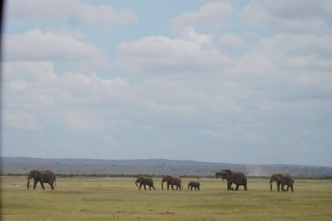 Tour di un giorno del Parco Nazionale di Amboseli e visita al villaggio Maasai
