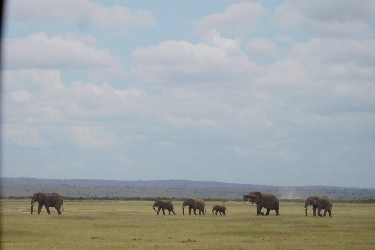 Tour di un giorno del Parco Nazionale di Amboseli e visita al villaggio Maasai