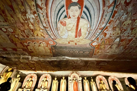 Sigiriya Hike, Village Safari & Dambulla Temple Tuk Tuk Tour Dambulla: Popham’s Arboretum & Cave Temple Tuk Tuk Tour
