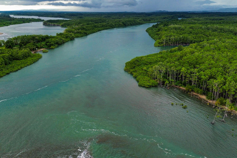 Manuel Antonio Mangrove Boat Tour