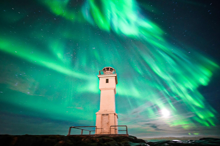 AURORA BOREAL Tour mit professionellem Foto ab ReykjavikAURORA BOREAL Nachttour ab Reykjavik