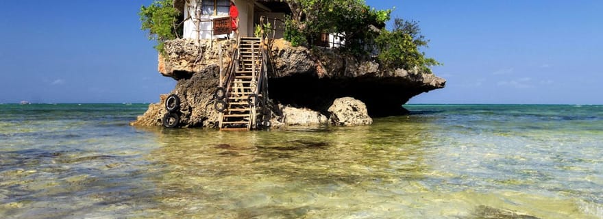 Zanzibar : forêt de Jozani, grotte de Kuza, plage de Paje et The Rock