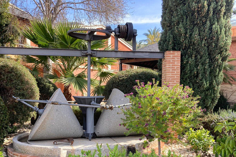 Alicante: Wine tasting tour with transfer