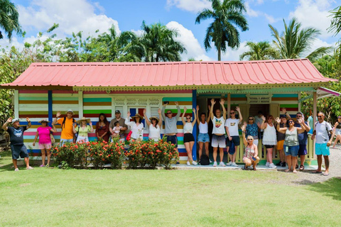 Punta Cana safari experience and historical city tour Half-day city tour and safari