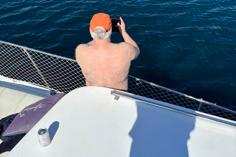 Estepona: Dolphins Searching Sea Cruise with Drink & Snacks Group Cruise