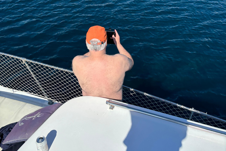 Estepona: Dolphins Searching Sea Cruise with Drink & Snacks Group Cruise